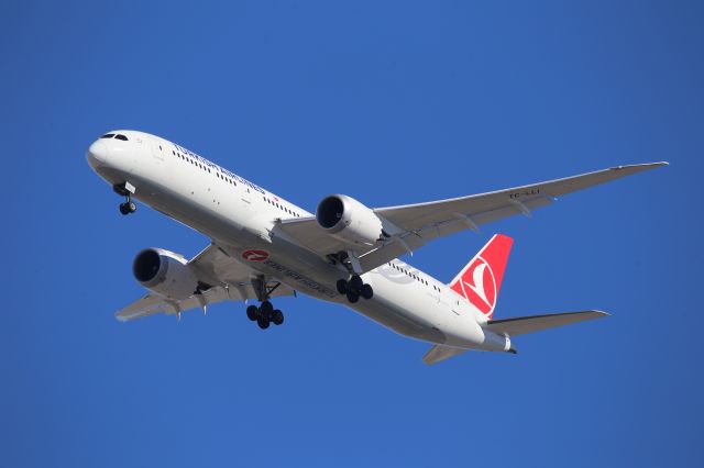 Boeing 787-9 Dreamliner (TC-LLI)