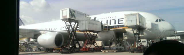 Airbus A380-800 — - The size of this plane cannot be overstated. We were all amazed be so close to it, wondering how could it fly.