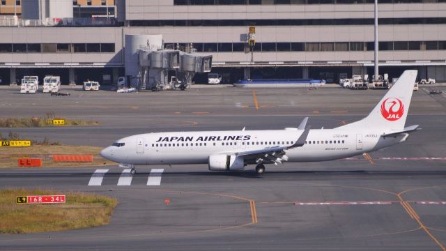 Boeing 737-800 (JA335J)