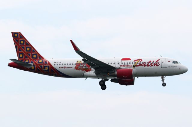 Airbus A320 (PK-LUV) - Sticker "Say NO Drugs, Say YES to Travel"