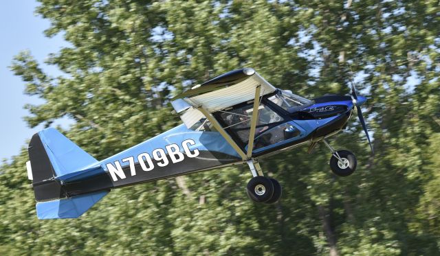 RAINBOW SKYREACH BushCat (N709BC) - Skyreach Bushcat at Airventure 2017