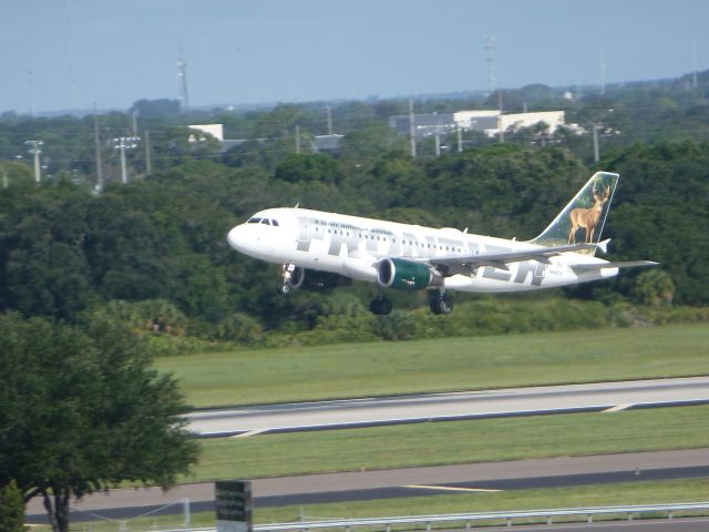 Airbus A319 (N918FR) - Frontier with deer tail taking off from TPA