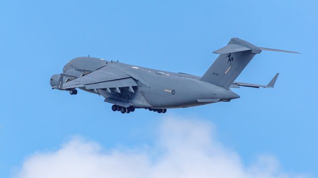 Boeing Globemaster III (A41202)