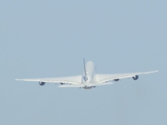 Airbus A380-800 (D-AIMB) - The giant takes to the sky!