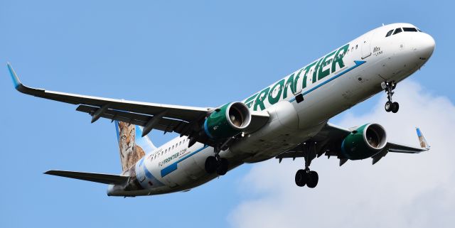 Airbus A321 (N706FR) - Fresh from PVD, my most favorite Frontier critter - except possibly Orville the Cardinal - Max the Lynx! On 8/19/18.