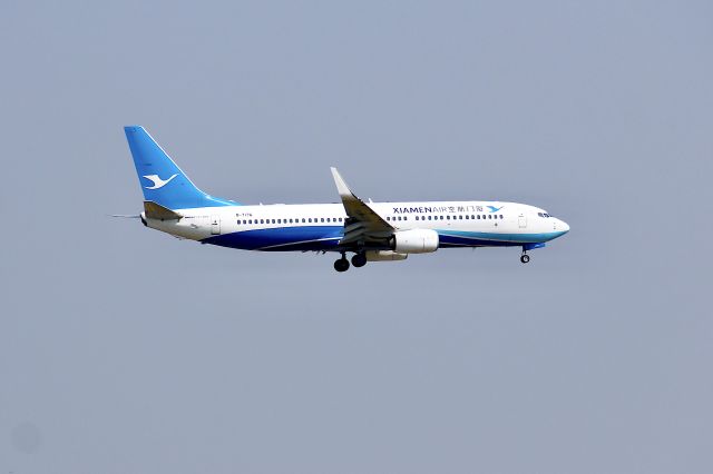 Boeing 737-800 (B-7176)