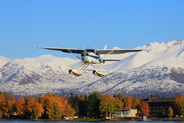 Cessna 206 Stationair (N60529)