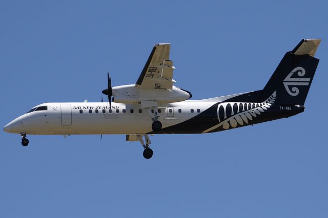 de Havilland Dash 8-300 (ZK-NEB) -  on 28 December 2019