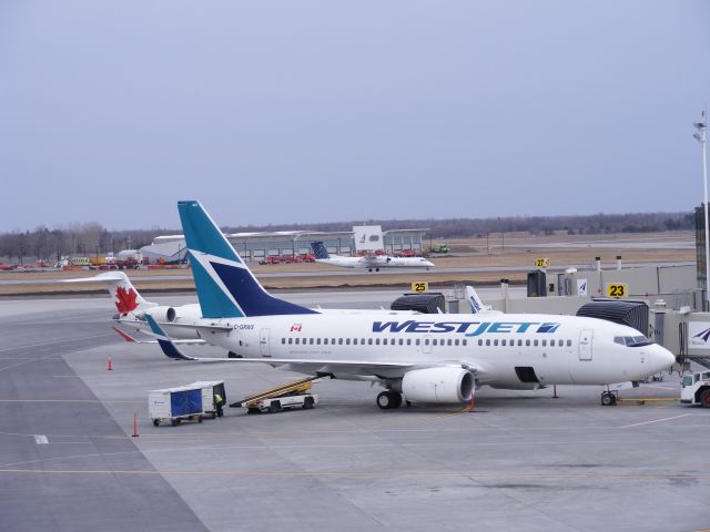 C-GRWS — - unloading luggage at the terminal