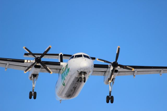 de Havilland Dash 8-100 (C-FGRP)