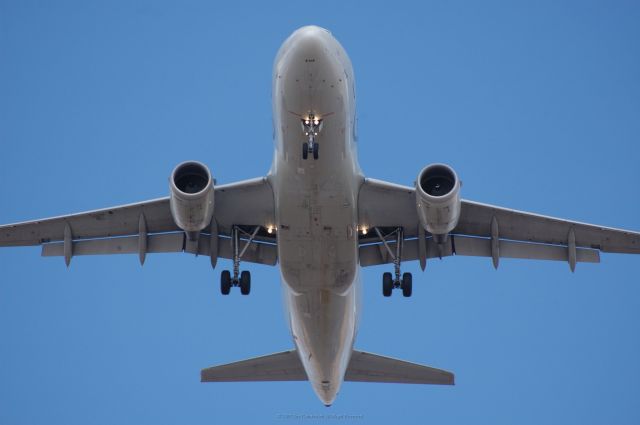 Airbus A319 (N317NB)