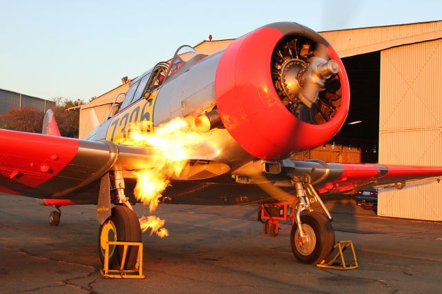 North American T-6 Texan (ZS-AOV) - ZU-AOV