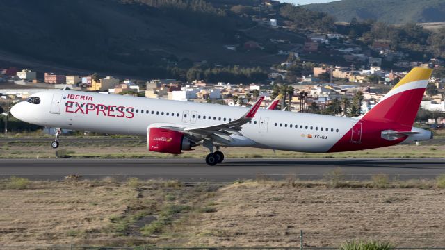 Airbus A321neo (EC-NIA)