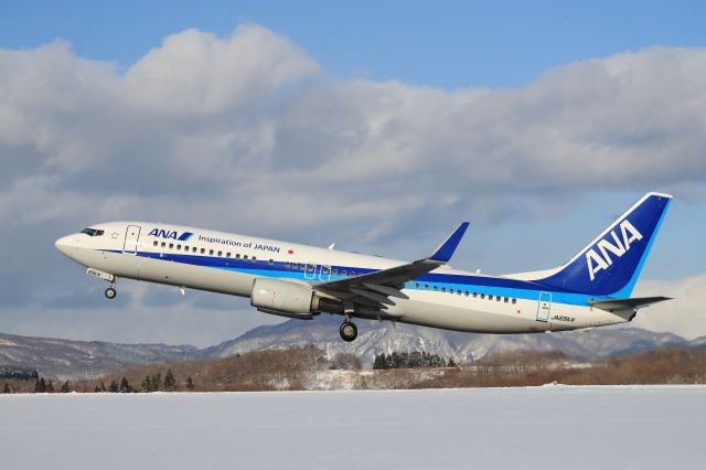 Boeing 737-800 (JA69AN) - December 10th 2018:HKD-ITM.