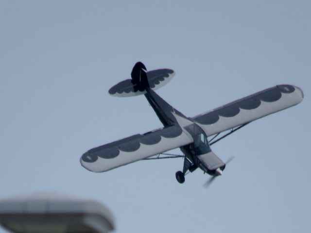 Piper L-21 Super Cub (N6777B)