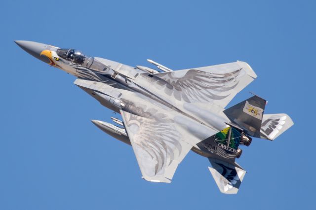 McDonnell Douglas F-15 Eagle (79-0041) - Screaming Eagle climbing out at Sentry Eagle yesterday at Kingsley Field. Its last public performance before being repainted next month.