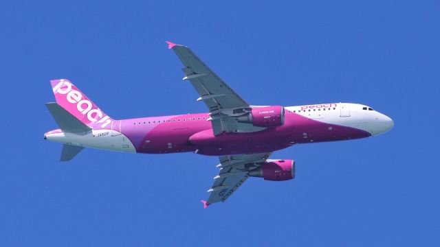 Airbus A320 (JA821P)