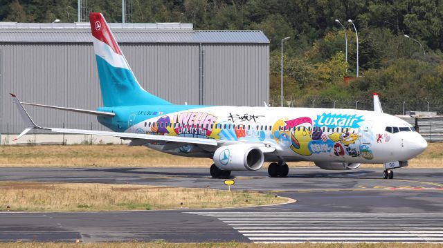 Boeing 737-800 (LX-LGU) - painted in "Sumo Artwork" special colours Jul 2020