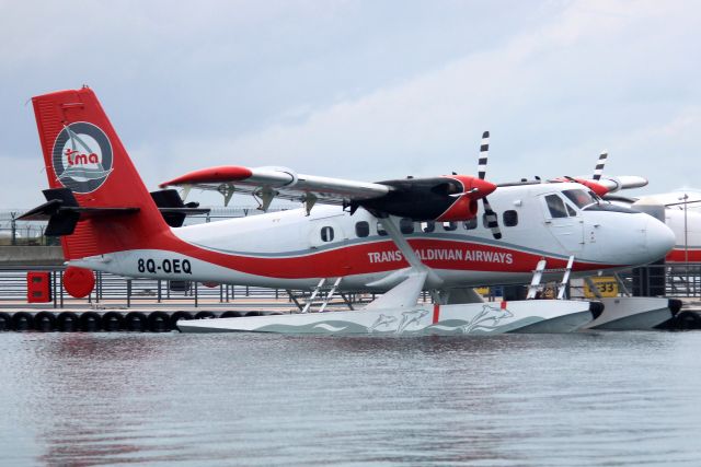 De Havilland Canada Twin Otter (8Q-OEQ) - Seen here on 3-Jan-24.