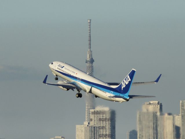 Boeing 737-700 (JA81AN)