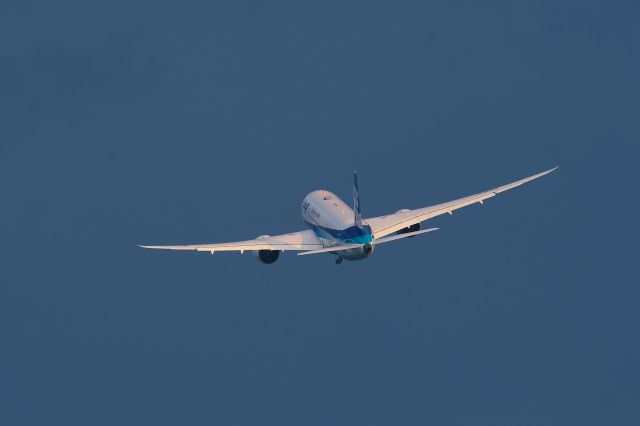 Boeing 787-8 (JA819A)