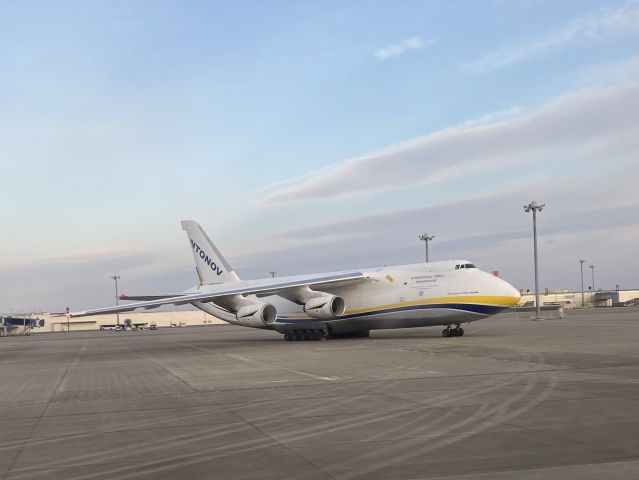 Antonov Antheus — - 27-01-2022に、中部国際空港(NGO)にてNH715より撮影