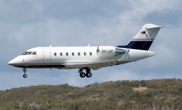 Canadair Challenger (VH-LEF) - Arriving from Essendon