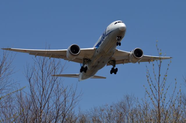 Boeing 787-8 (JA816A) - 2017-05-03