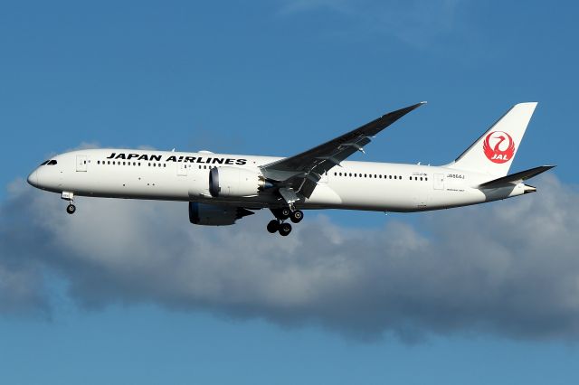 JA864J — - JAL 8 arriving from Tokyo on 4R