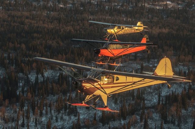 NC43121 — - 1946 Taylorcraft BC12D and friends near Mount Susitna in Alaska.