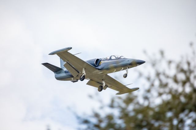 Aero L-39 Albatros (N39JV) - Taken Sunday February 3, 2019 from Melbourne, FL.