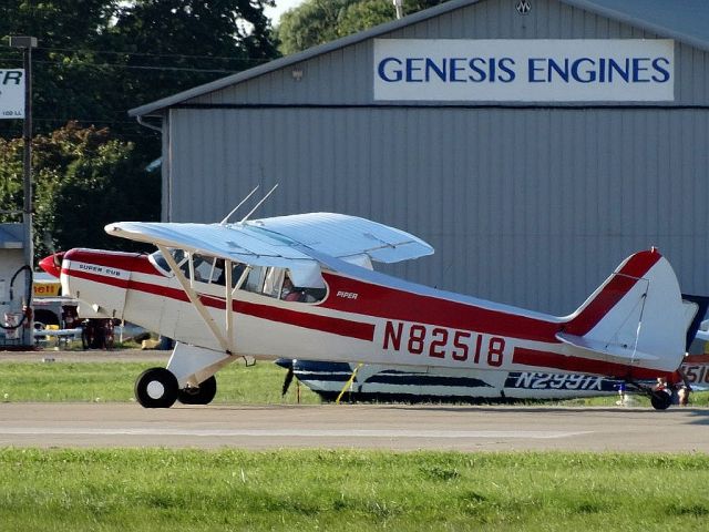 Piper L-21 Super Cub (N82518)