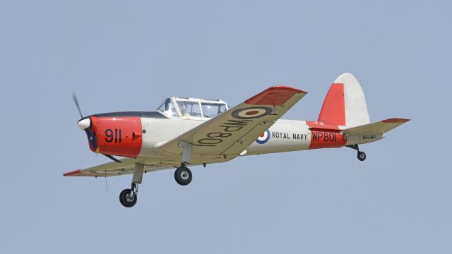 OGMA DHC-1 Chipmunk (N801WP) - Airventure 2019