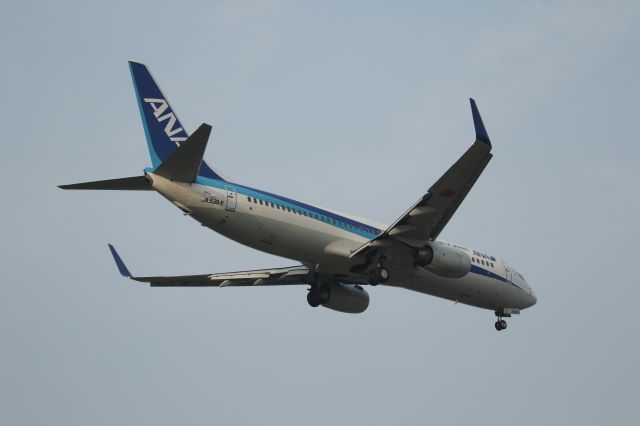 Boeing 737-800 (JA53AN) - 28 April 2015:KIX-HKD.