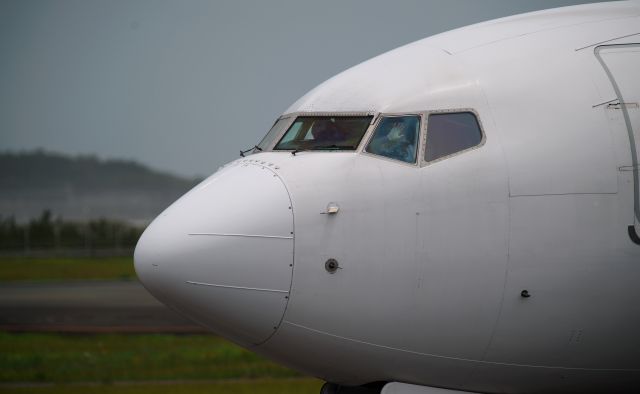 Boeing 737-800 (JA309J)