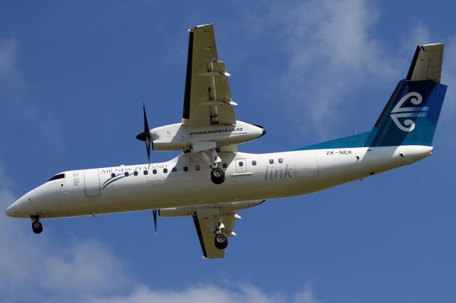 de Havilland Dash 8-100 (ZK-NEK)