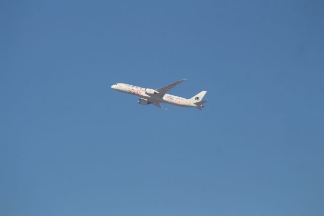 Boeing 787-9 Dreamliner (XA-ADL) - DEPARTURE FROM 27 MMTJ