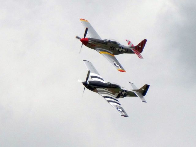 North American P-51 Mustang (N51MX)