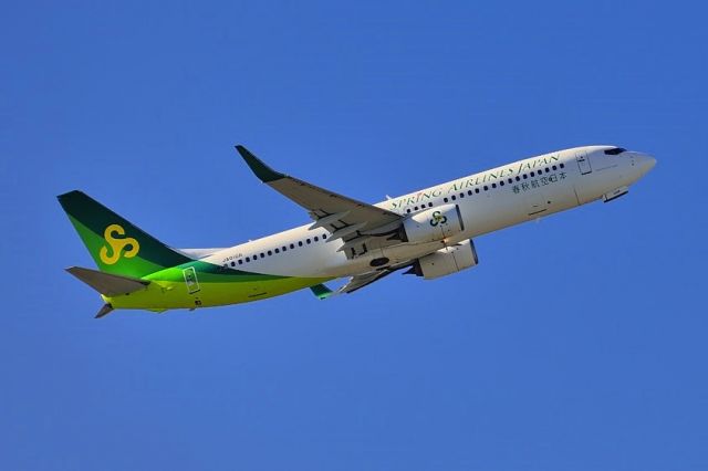 Boeing 737-800 (JA01GR)