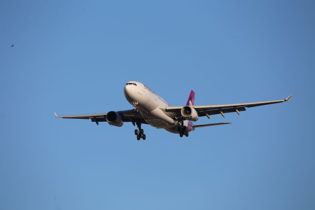 Airbus A330-200 (N396HA)