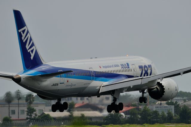 Boeing 787-8 (JA821A)