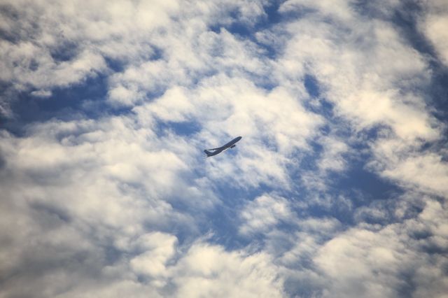 Airbus A330-300 (B-6530)