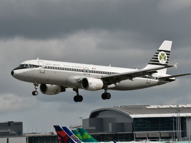 Airbus A319 (EI-DVM)