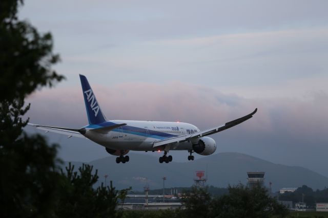 Boeing 787-8 (JA817A) - 09 August 2015:HND-HKD.