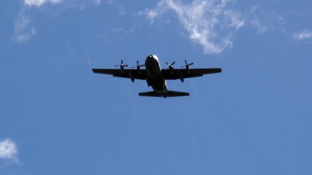 Lockheed C-130 Hercules (FAB2474)
