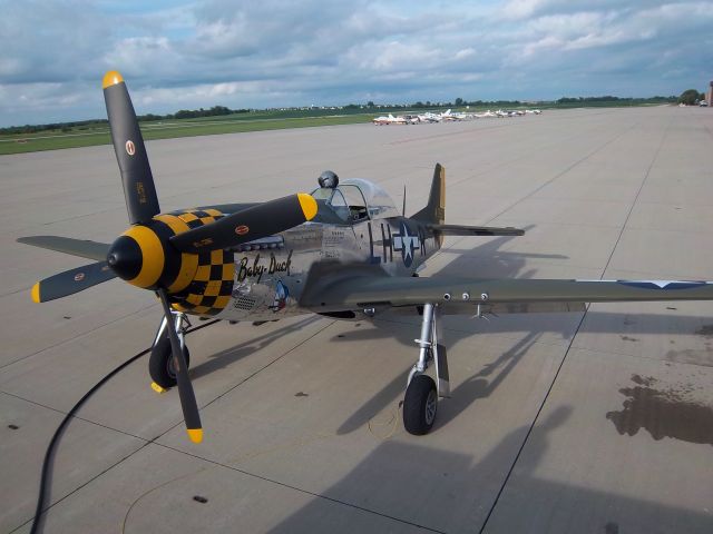 North American P-51 Mustang (N251PW) - P51