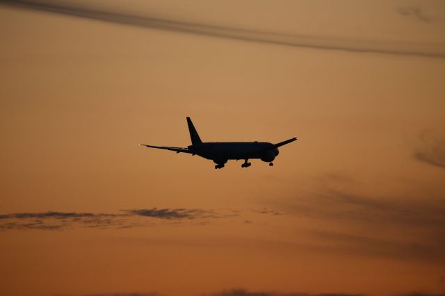 BOEING 777-300ER (TC-JJU)