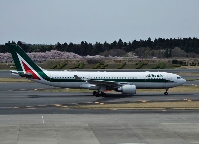 Airbus A330-200 (EI-EJP) - Taxing at NRT (2017/04/10)