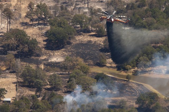 Sikorsky CH-54 Tarhe (N217AC) - Bastrop Complex Fire    Sky-Crane dumping retardant/water mix on Bastrop Texas Fire