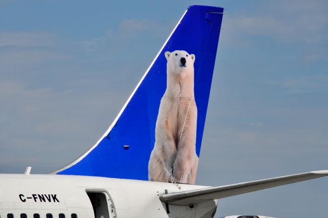 Boeing 737-200 (FAB866) - Beautiful polar bear ;)